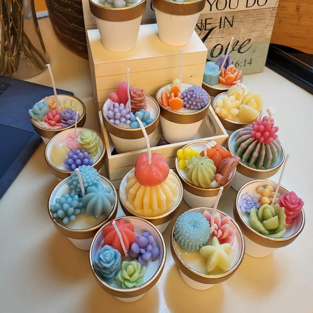 6pcs Succulent Silicone Candle - đánh giá và giá Candle Supplies Tins